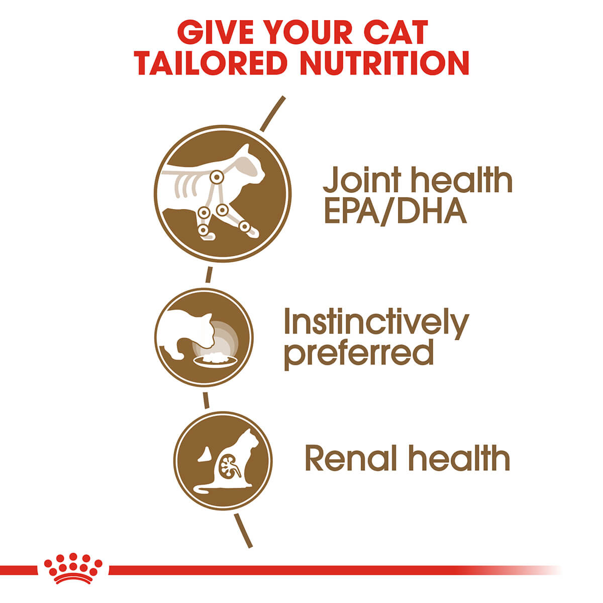 Royal Canin Ageing 12+ Senior In Gravy Wet Cat Food