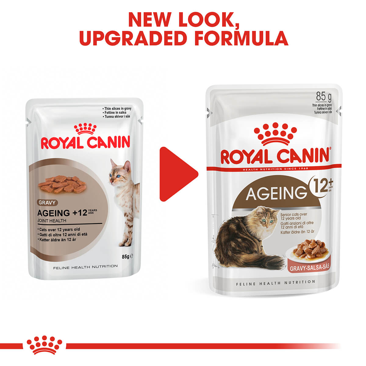Royal Canin Ageing 12+ Senior In Gravy Wet Cat Food
