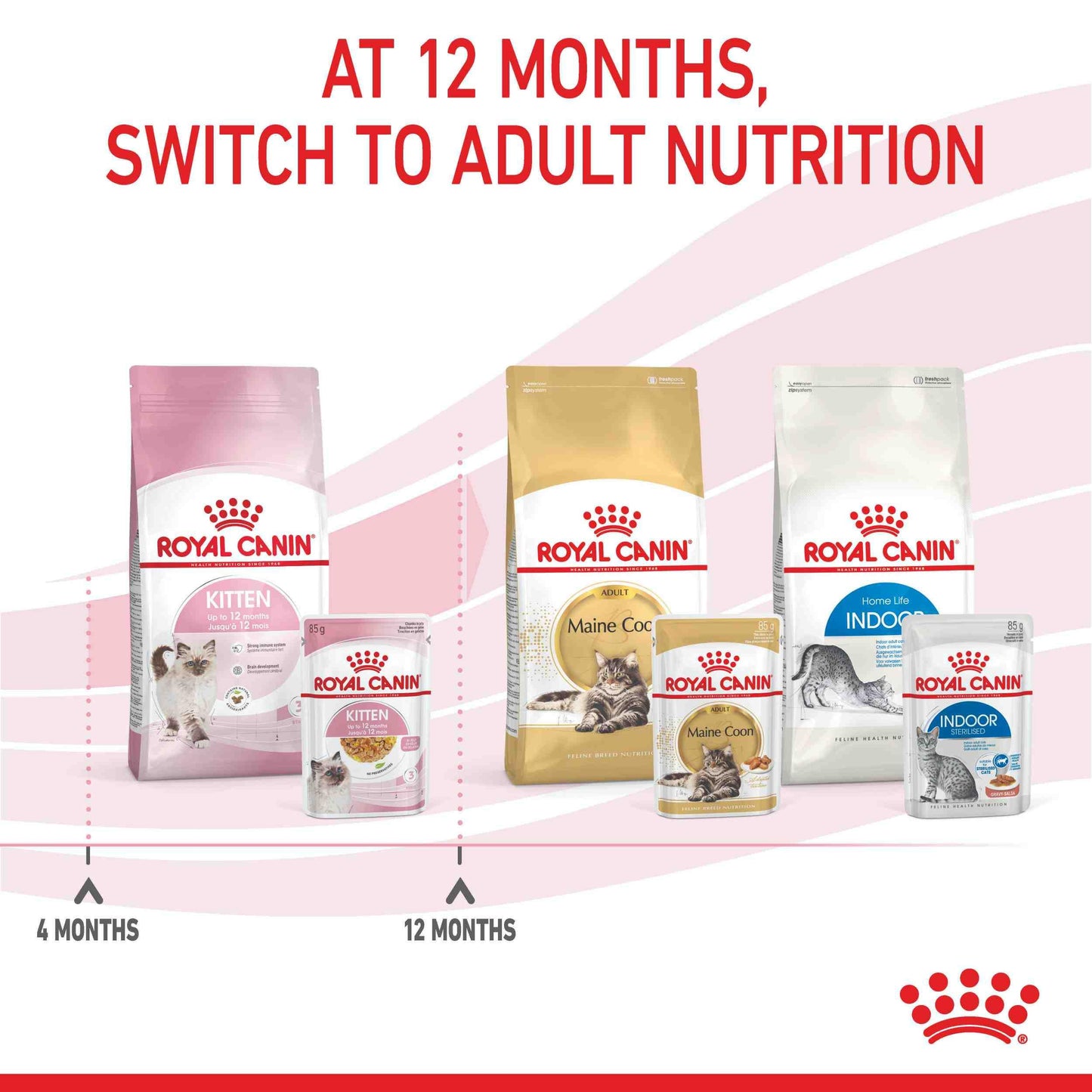 Royal Canin Instinctive Kitten In Jelly Wet Cat Food
