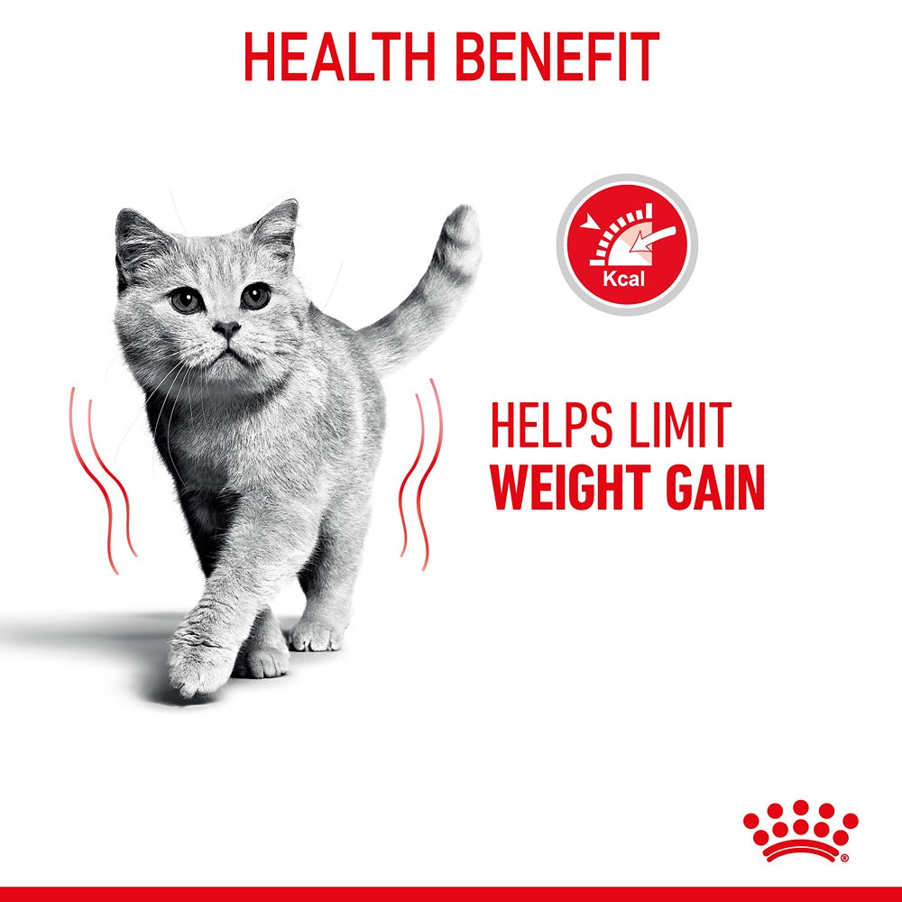 Royal Canin Light Weight Care Jelly Adult Wet Cat Food