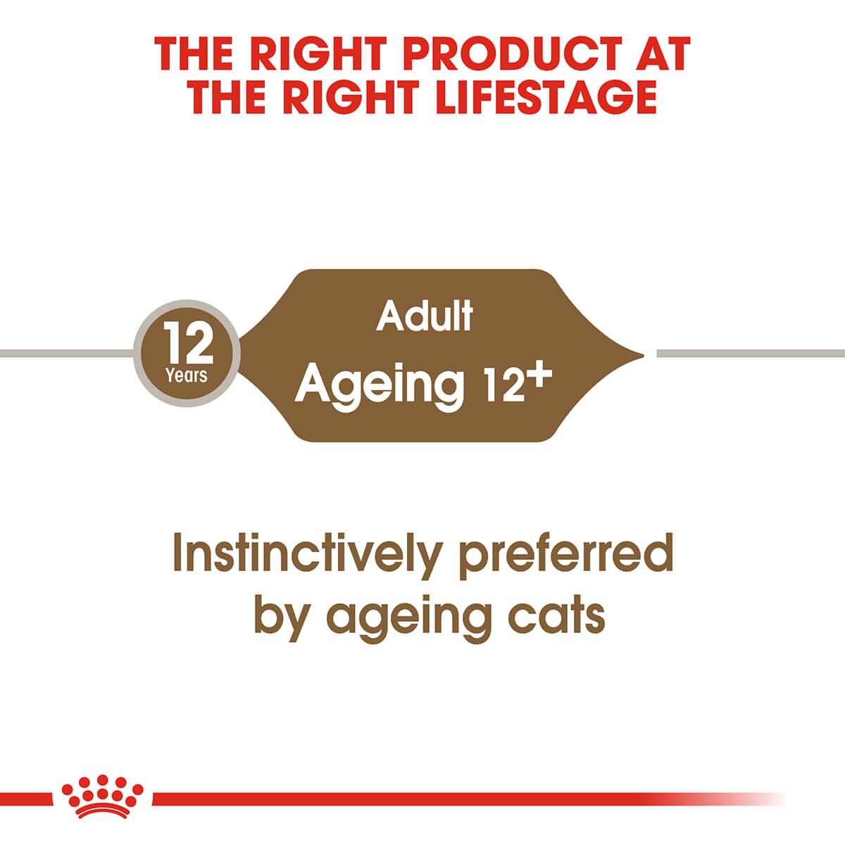 Royal Canin Ageing 12+ Senior In Jelly Wet Cat Food