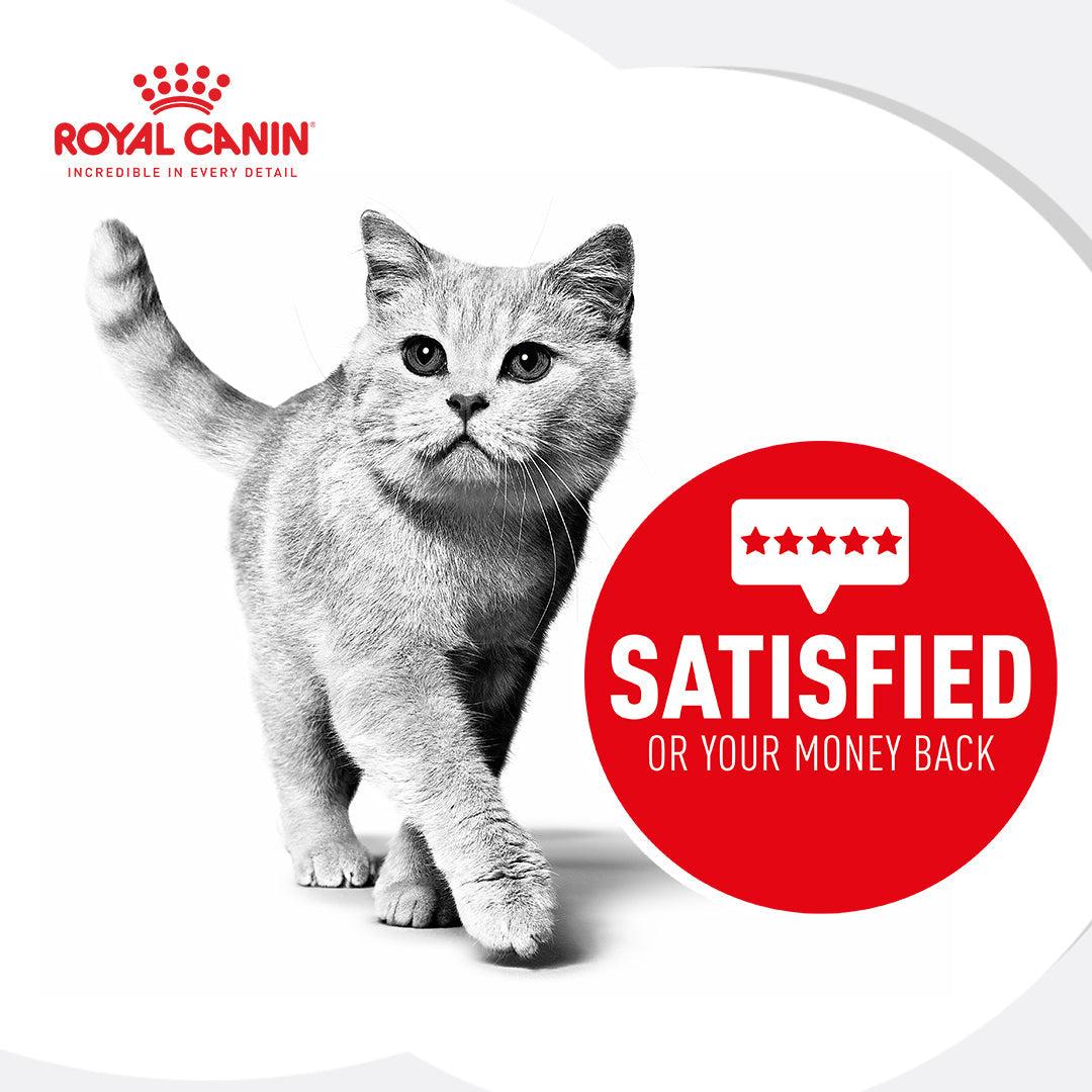 Royal Canin Ageing 12+ Senior In Jelly Wet Cat Food