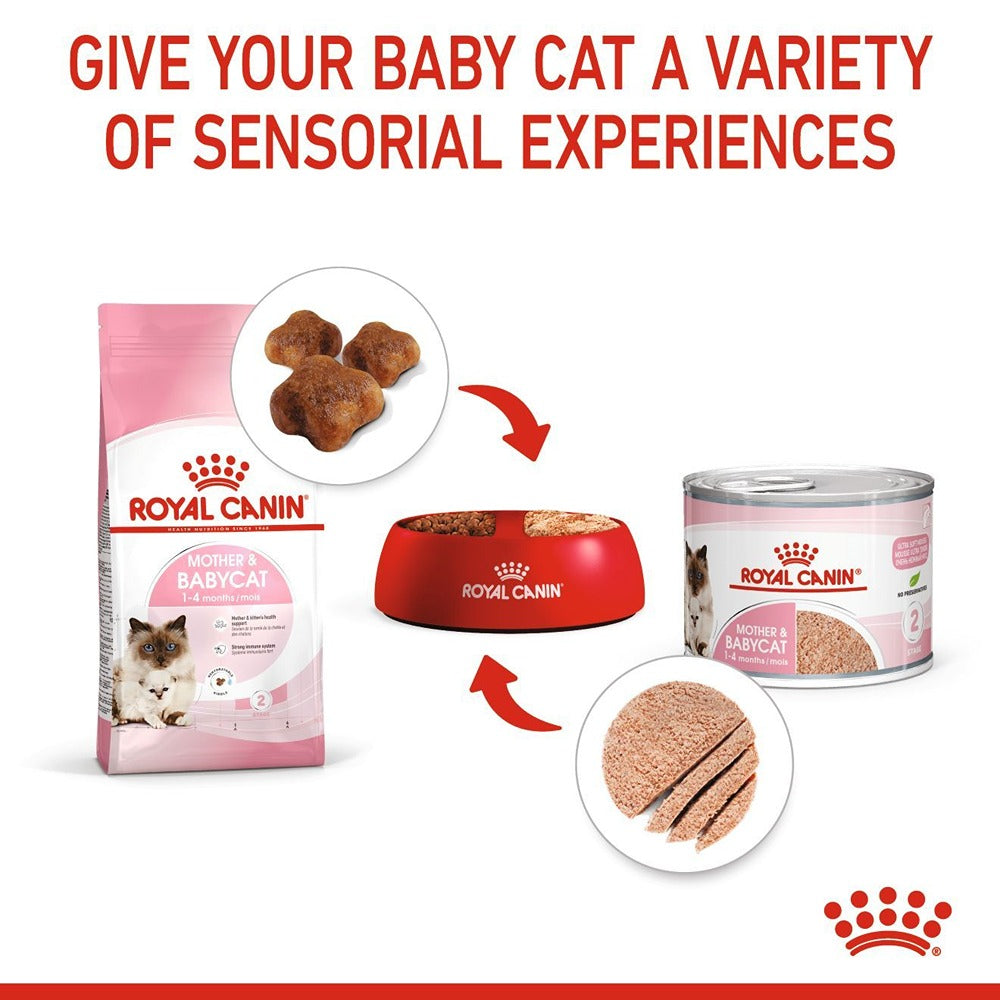Royal Canin Babycat Instinctive Kitten Wet Cat Food