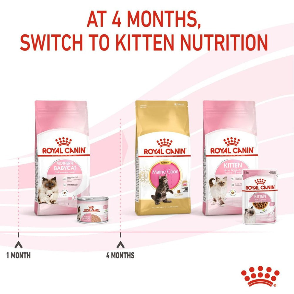 Royal Canin Babycat Instinctive Kitten Wet Cat Food