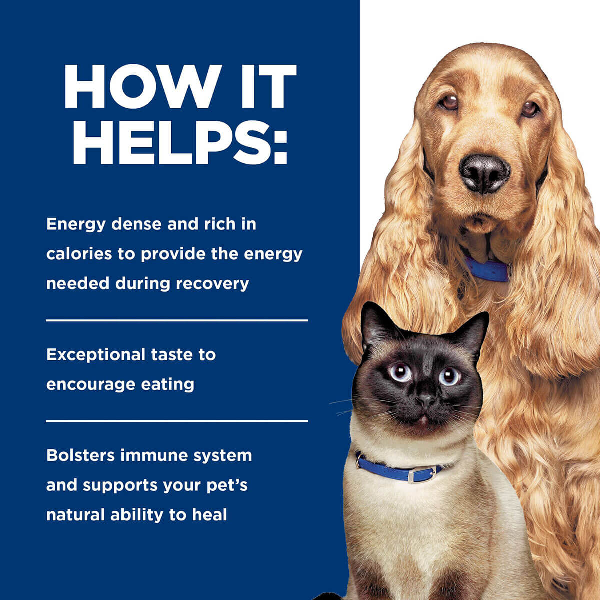 Hill's Prescription Diet A/D Urgent Care Wet Dog & Cat Food 156g