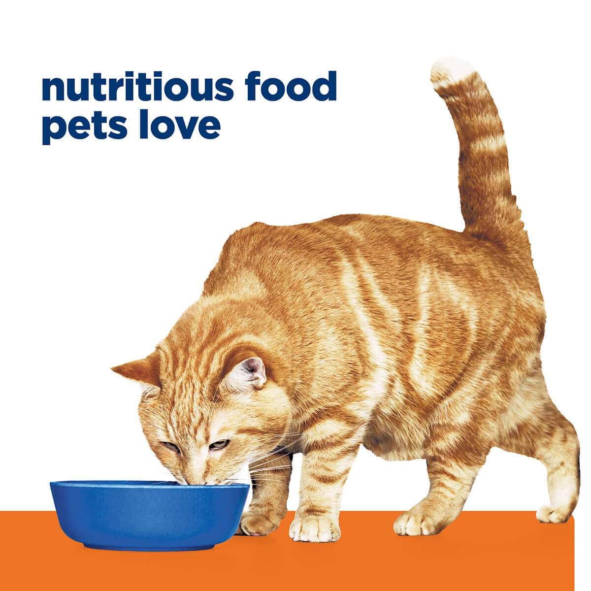 Hill's Prescription Diet C/D Urinary Care Chicken Wet Cat Food