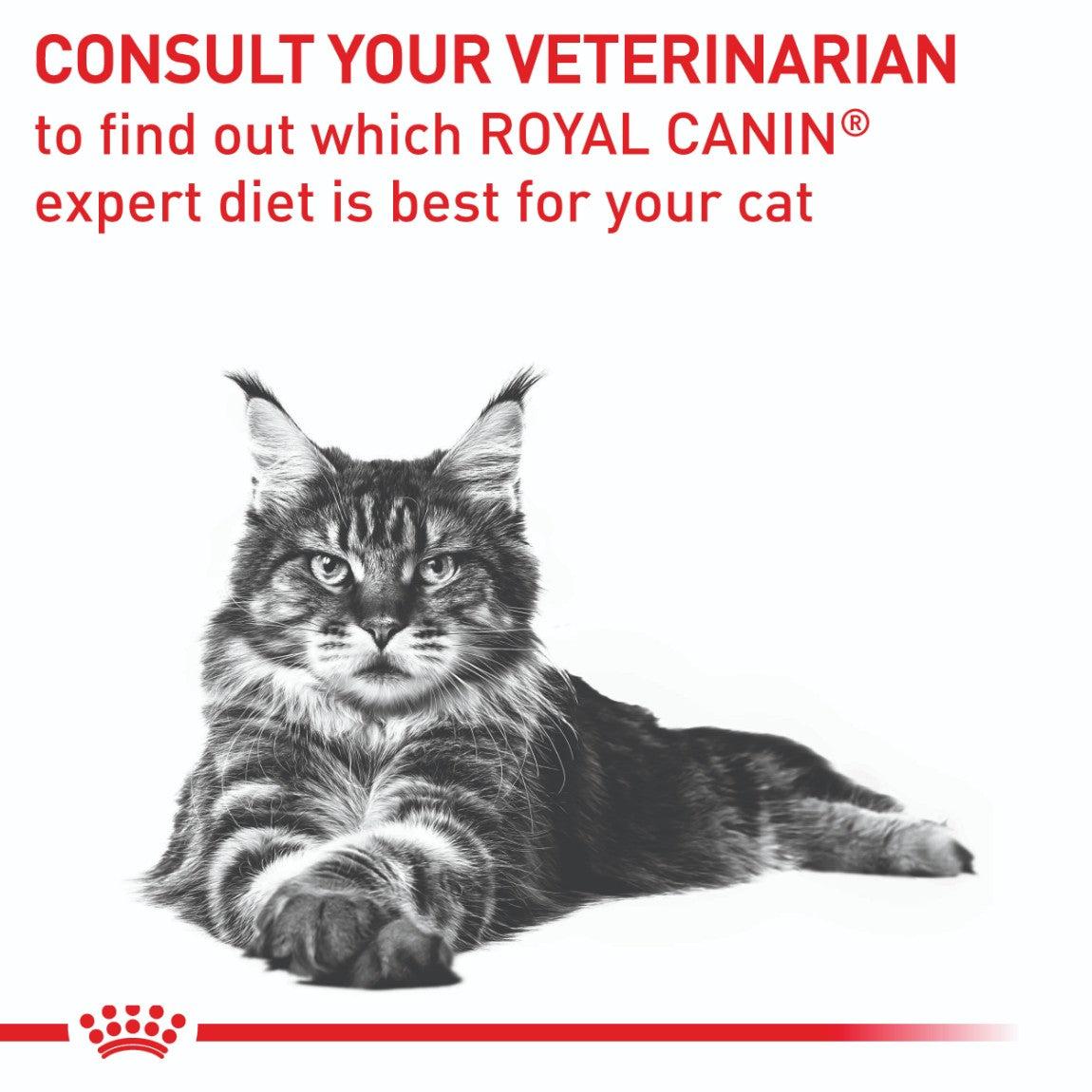 Royal Canin Expert Neutered Satiety Balance Dry Cat Food