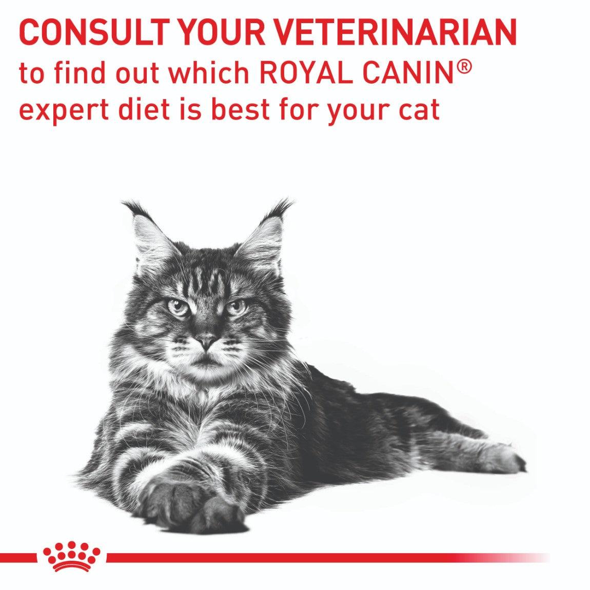 Royal Canin Expert Mature Consult Dry Cat Food