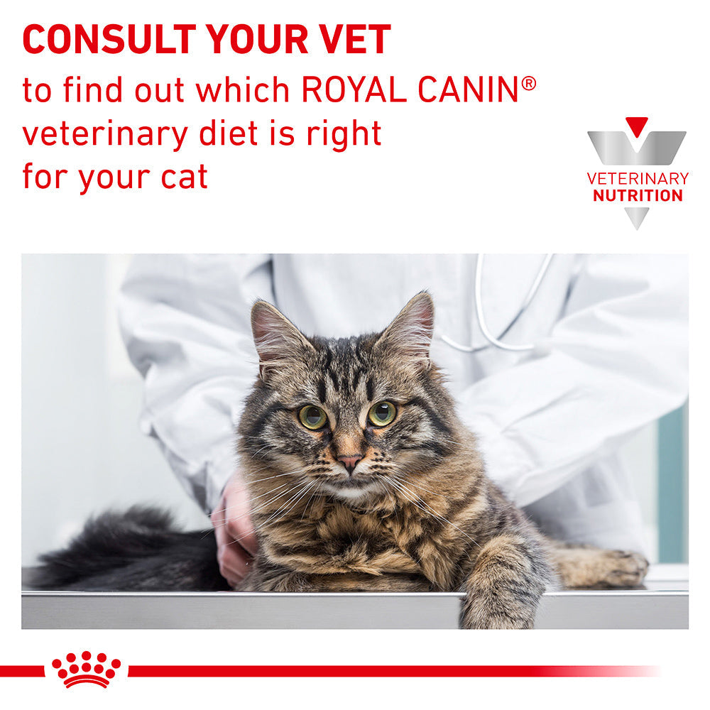 Royal Canin Veterinary Renal Fish Wet Cat Food