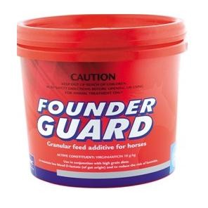 Virbac Founder Guard Horse Supplement