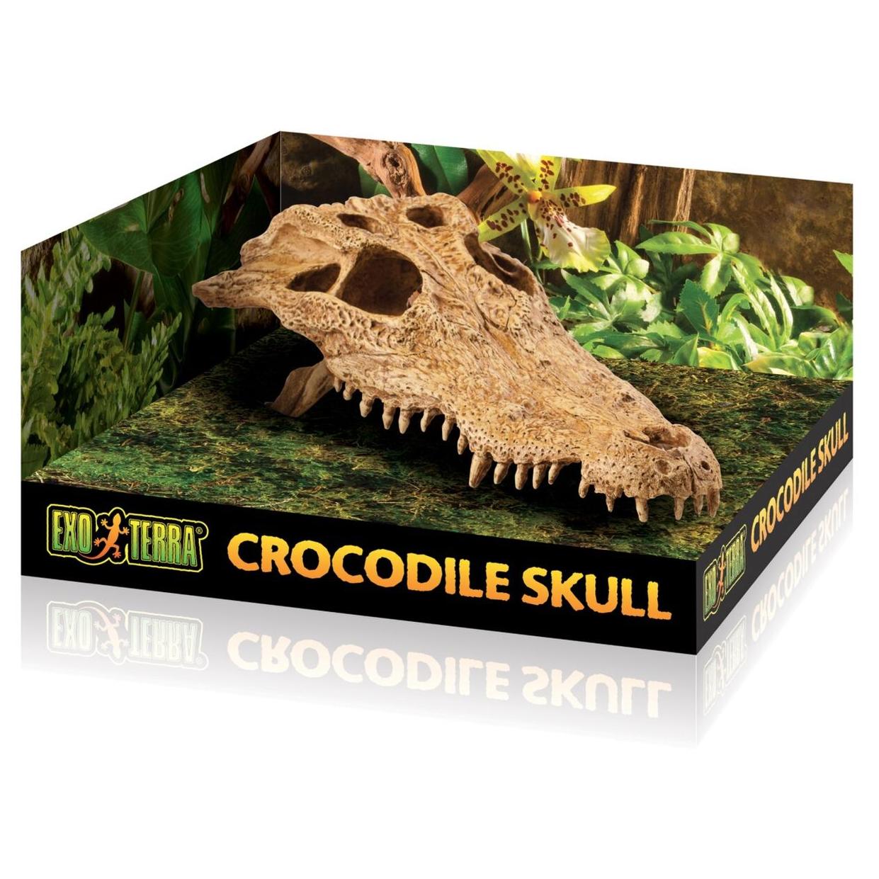 Exo Terra Crocodile Skull Medium