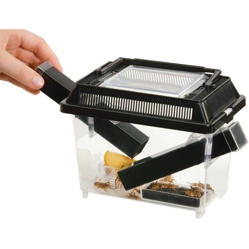 Exo Terra Cricket Pen