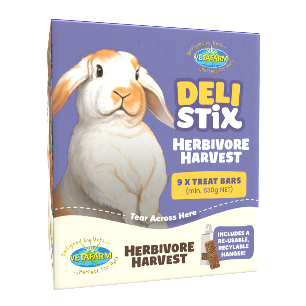 Vetafarm Deli Stix Herbivore Harvest Rabbit & Guinea Pig Treat