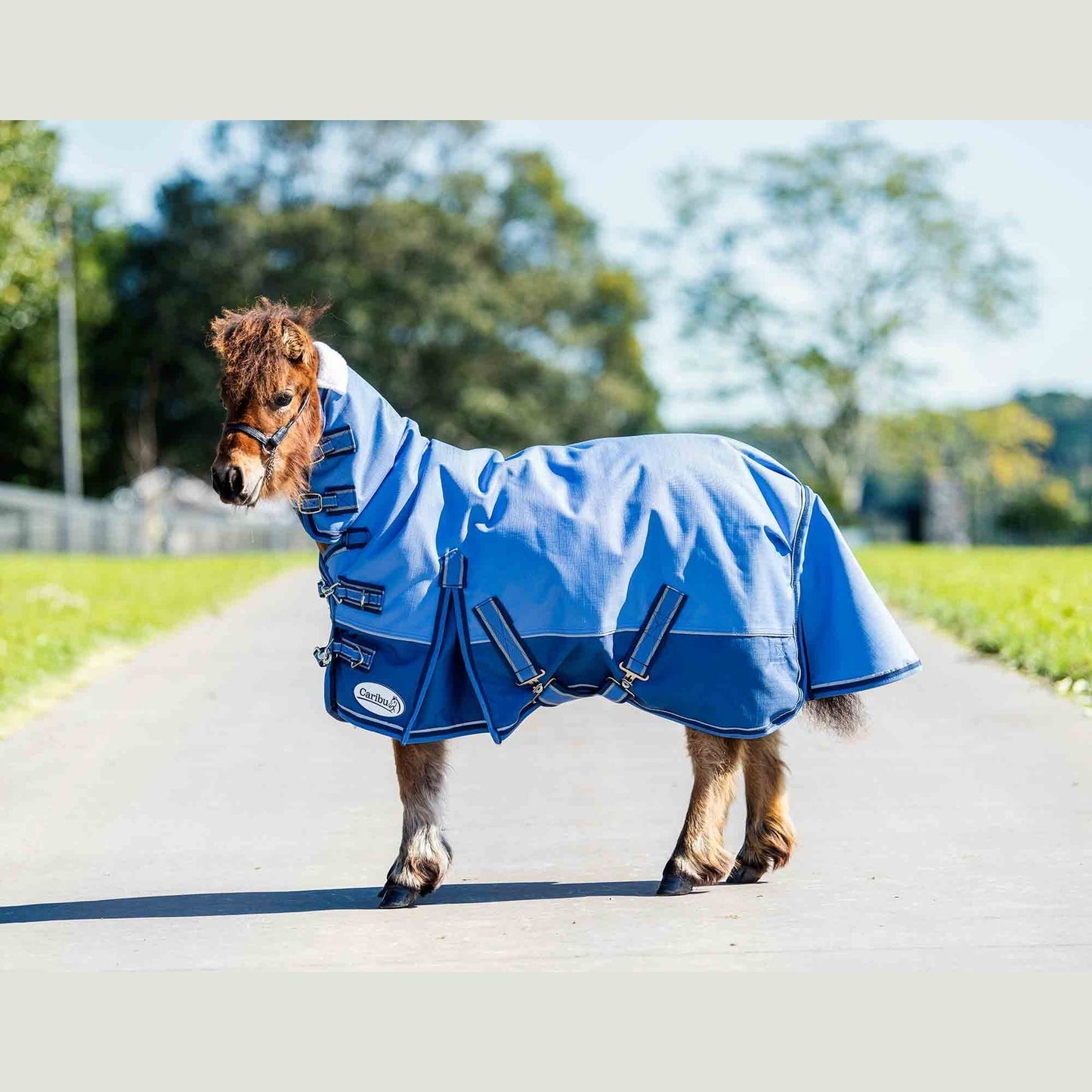 Caribu Mini Alpine Combo Horse Rug 200g