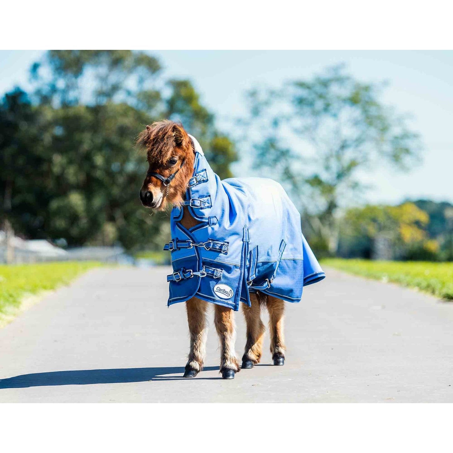 Caribu Mini Alpine Combo Horse Rug 200g
