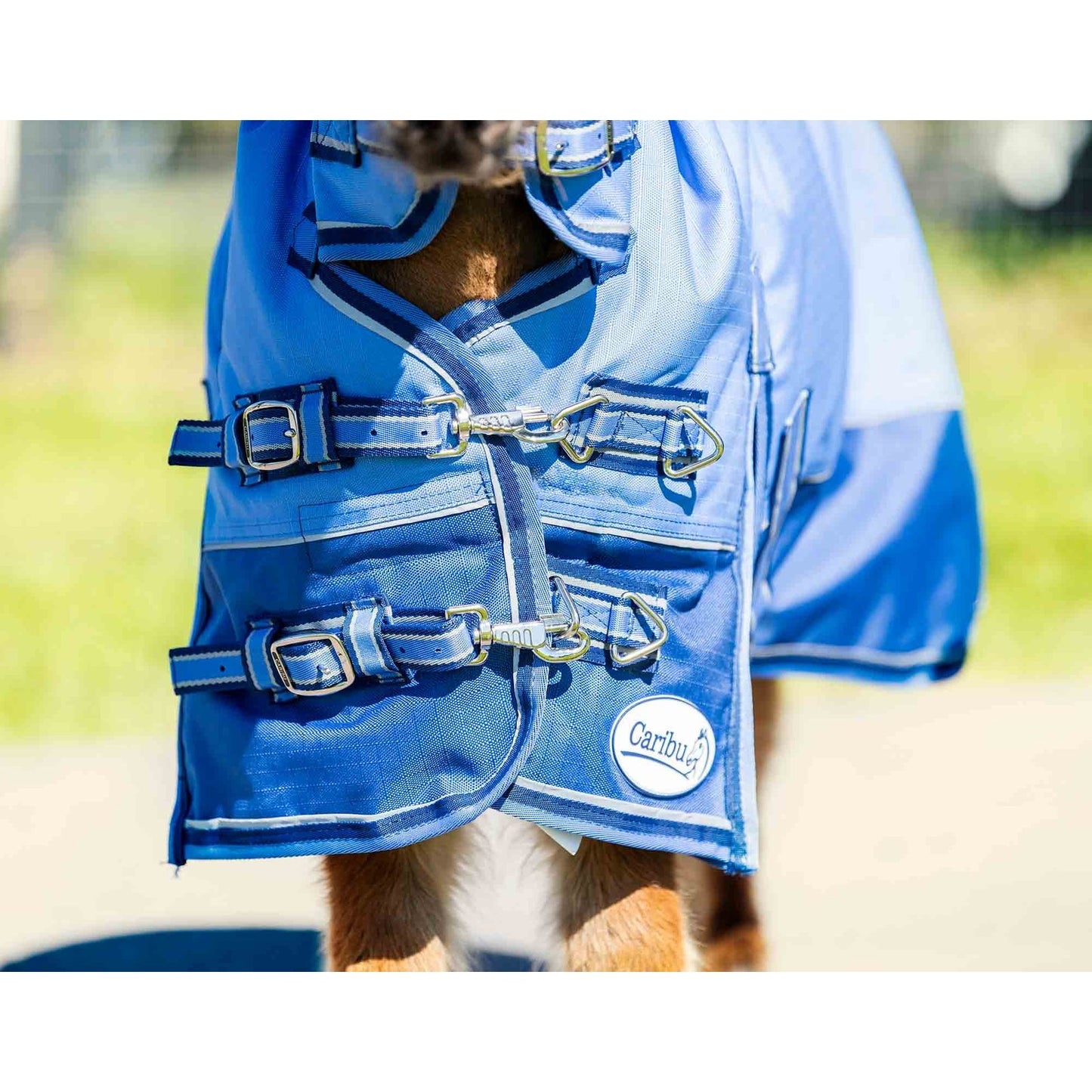 Caribu Mini Alpine Combo Horse Rug 200g