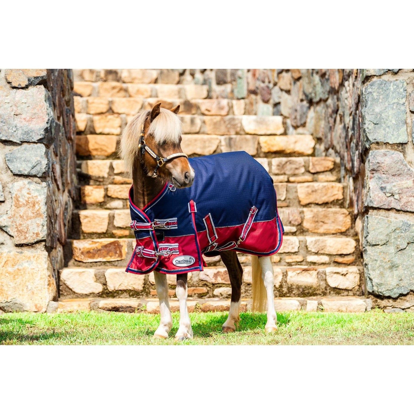 Caribu Mini Alpine Horse Rug 200g