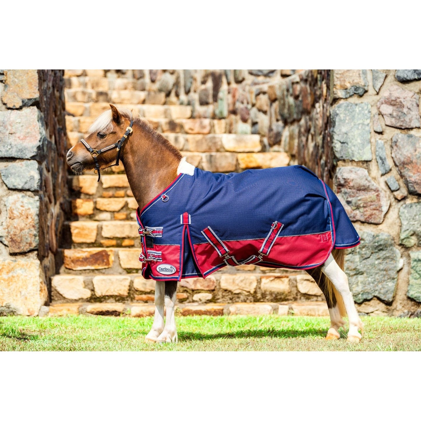 Caribu Mini Alpine Horse Rug 200g