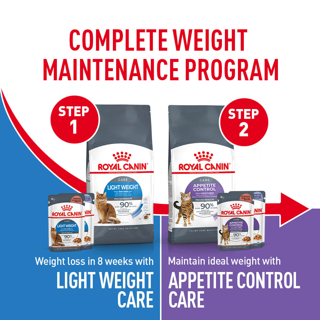 Royal Canin Appetite Control Gravy Adult Wet Cat Food Pouches