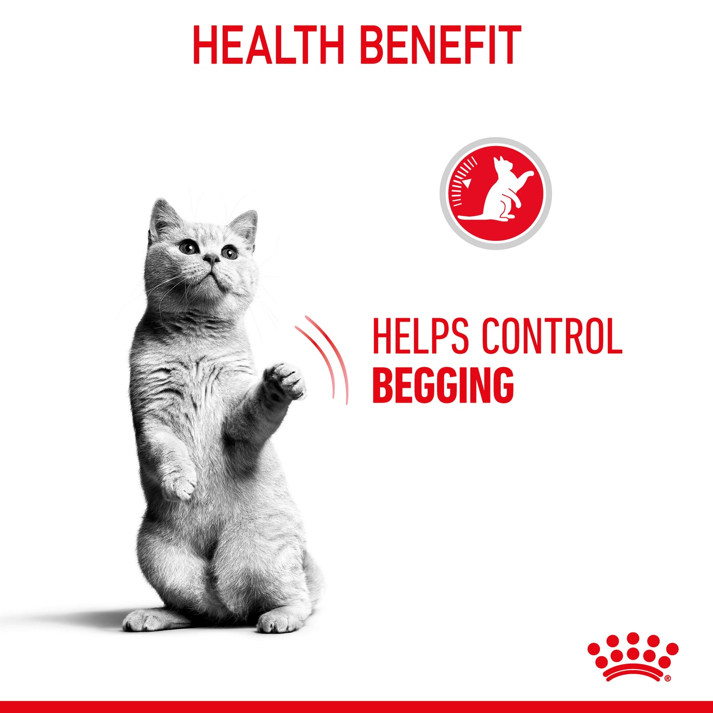 Royal Canin Appetite Control Gravy Adult Wet Cat Food Pouches