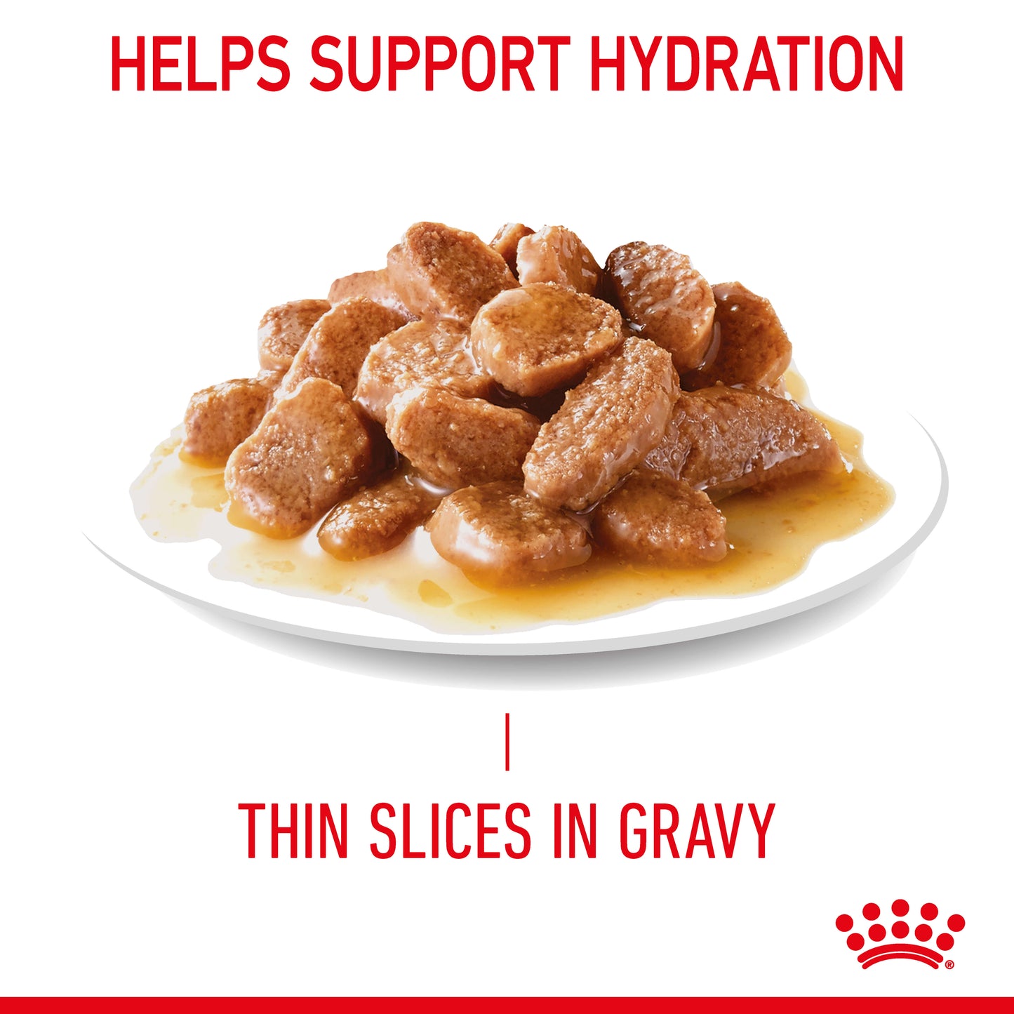 Royal Canin Appetite Control Gravy Adult Wet Cat Food Pouches