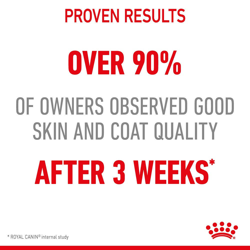 Royal Canin Hair & Skin Jelly Adult Wet Cat Food