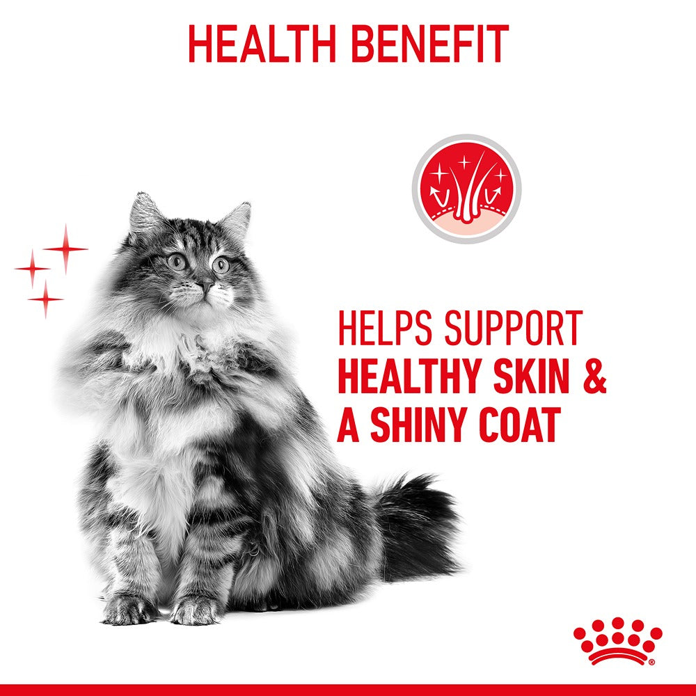 Royal Canin Hair & Skin Jelly Adult Wet Cat Food