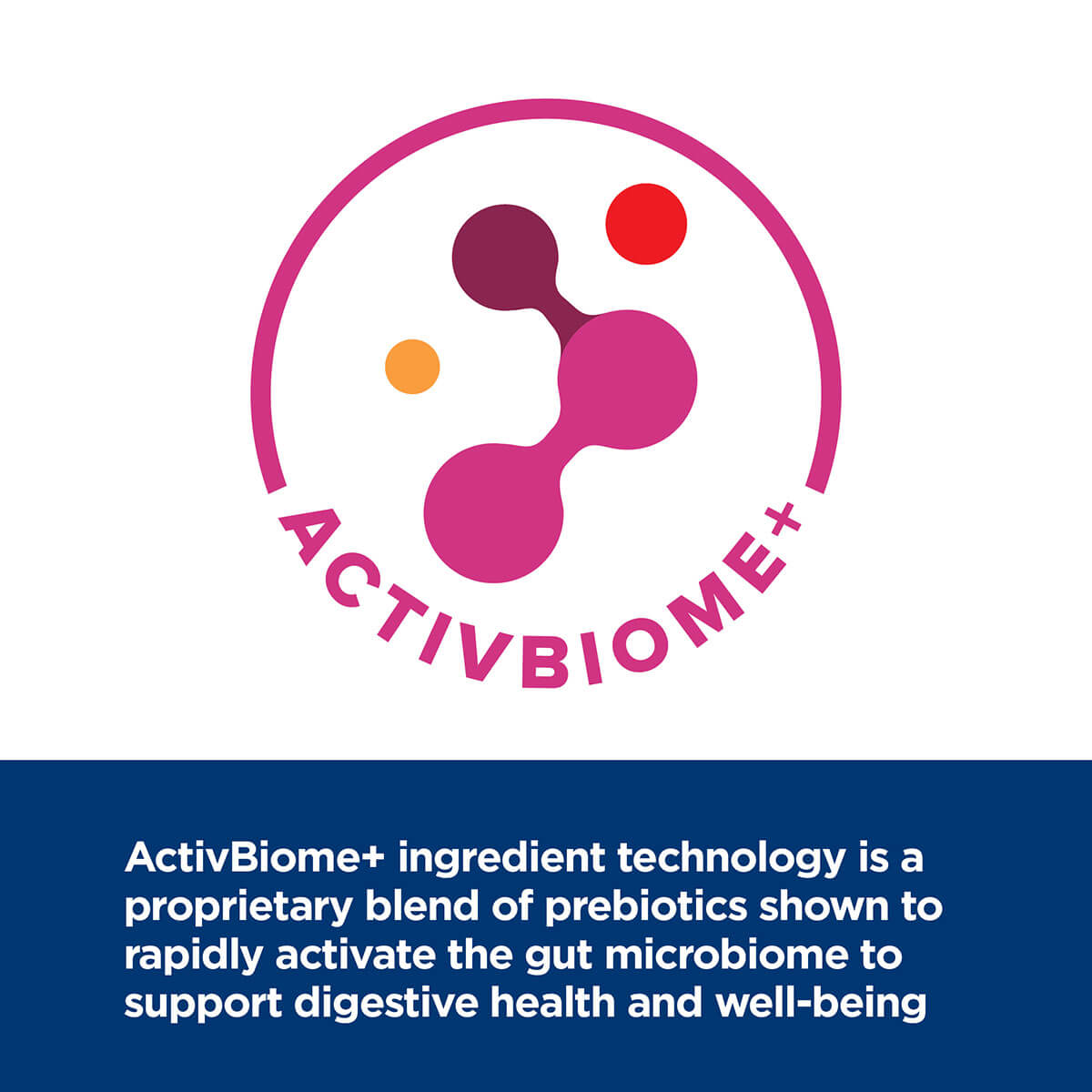 Hill's Prescription Diet Gastro Biome Digest/Fibre Dry Dog Food