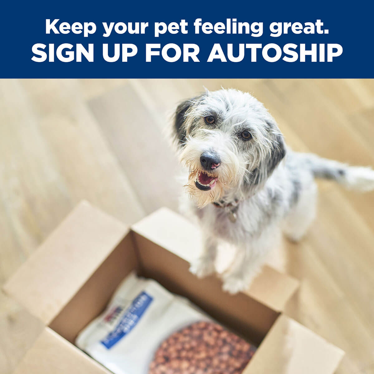 Hill's Prescription Diet W/D Multi Benefit Dry Dog Food