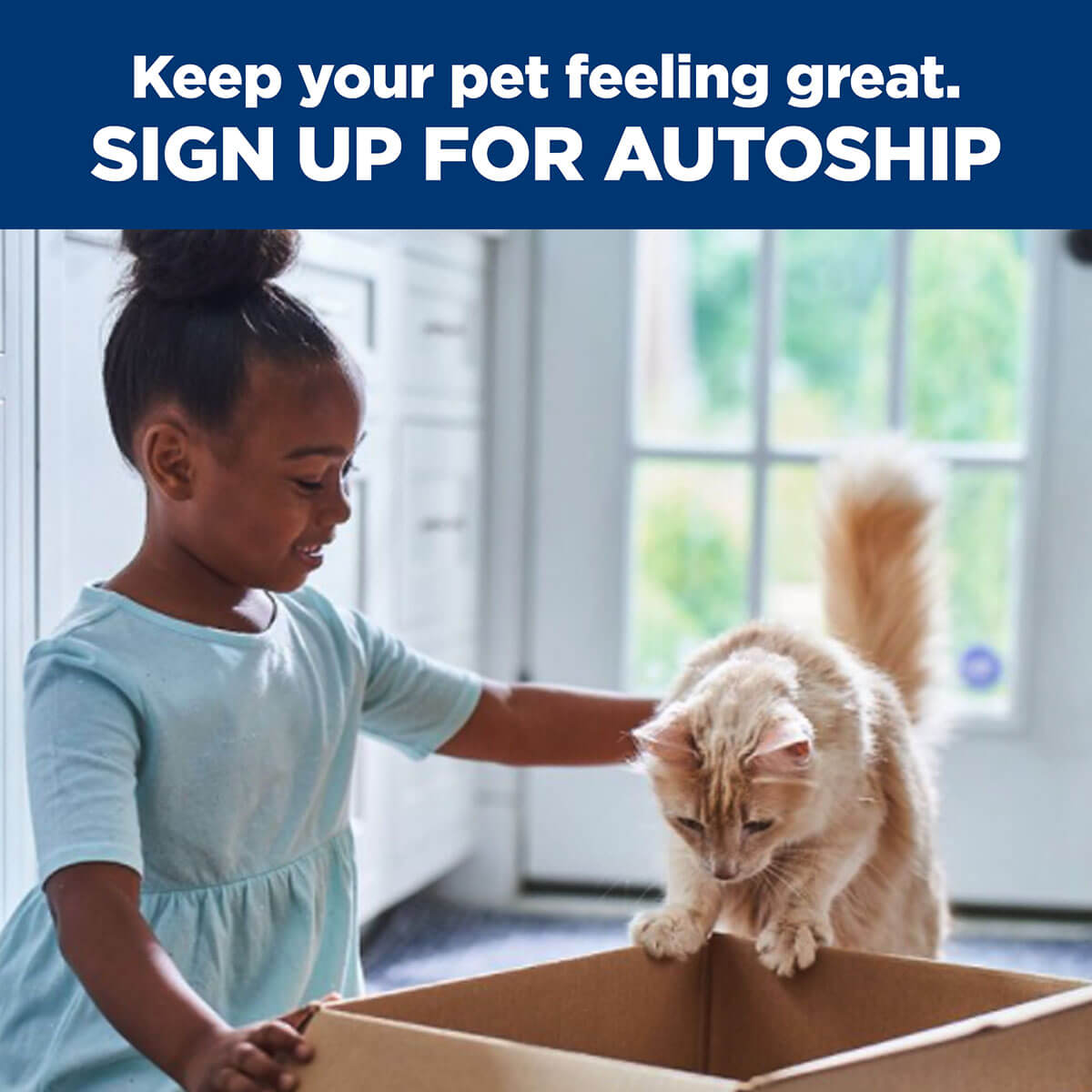 Hill's Prescription Diet C/D Multicare Urinary Care Wet Cat Food 156G