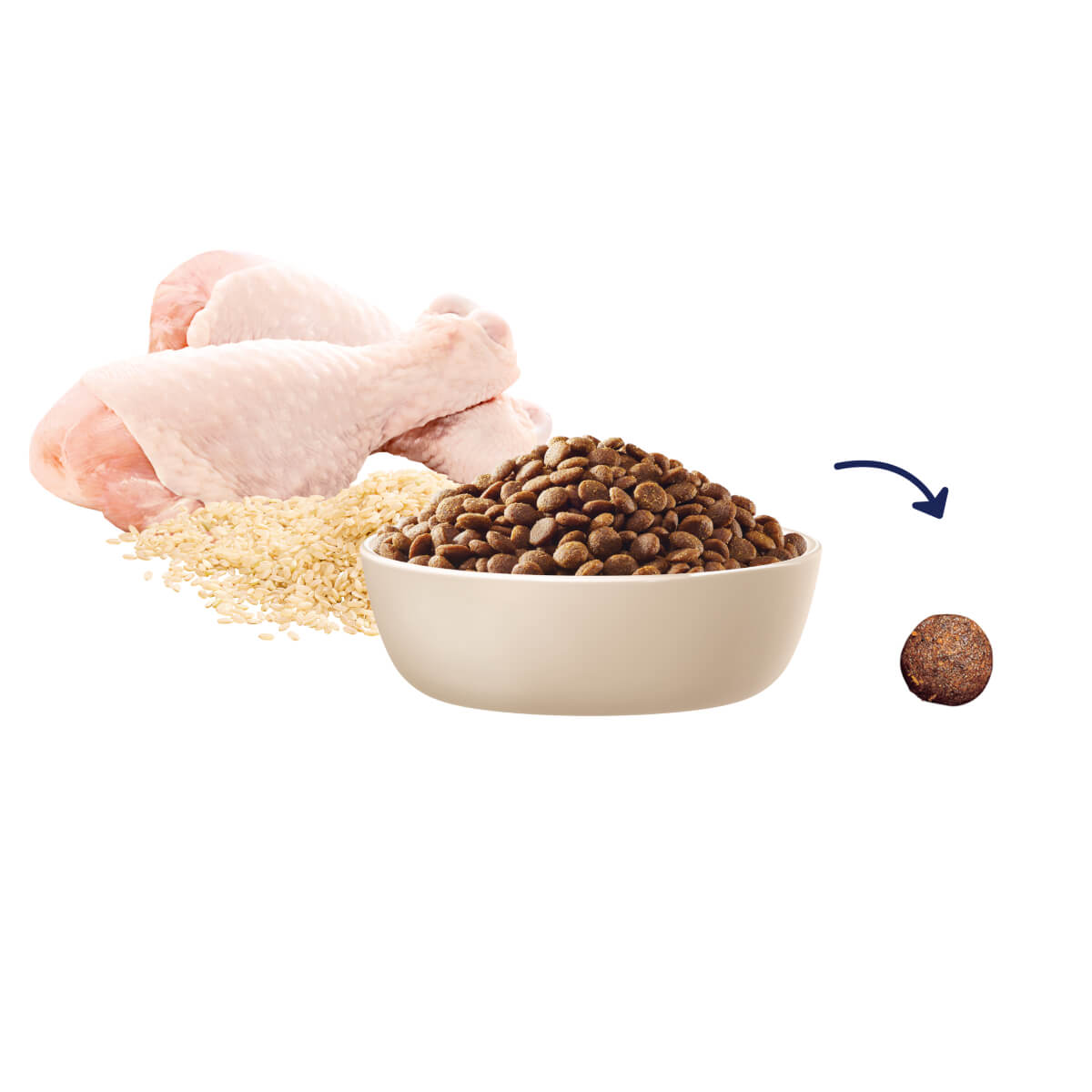 Advance Medium Breed Puppy Dry Dog Food