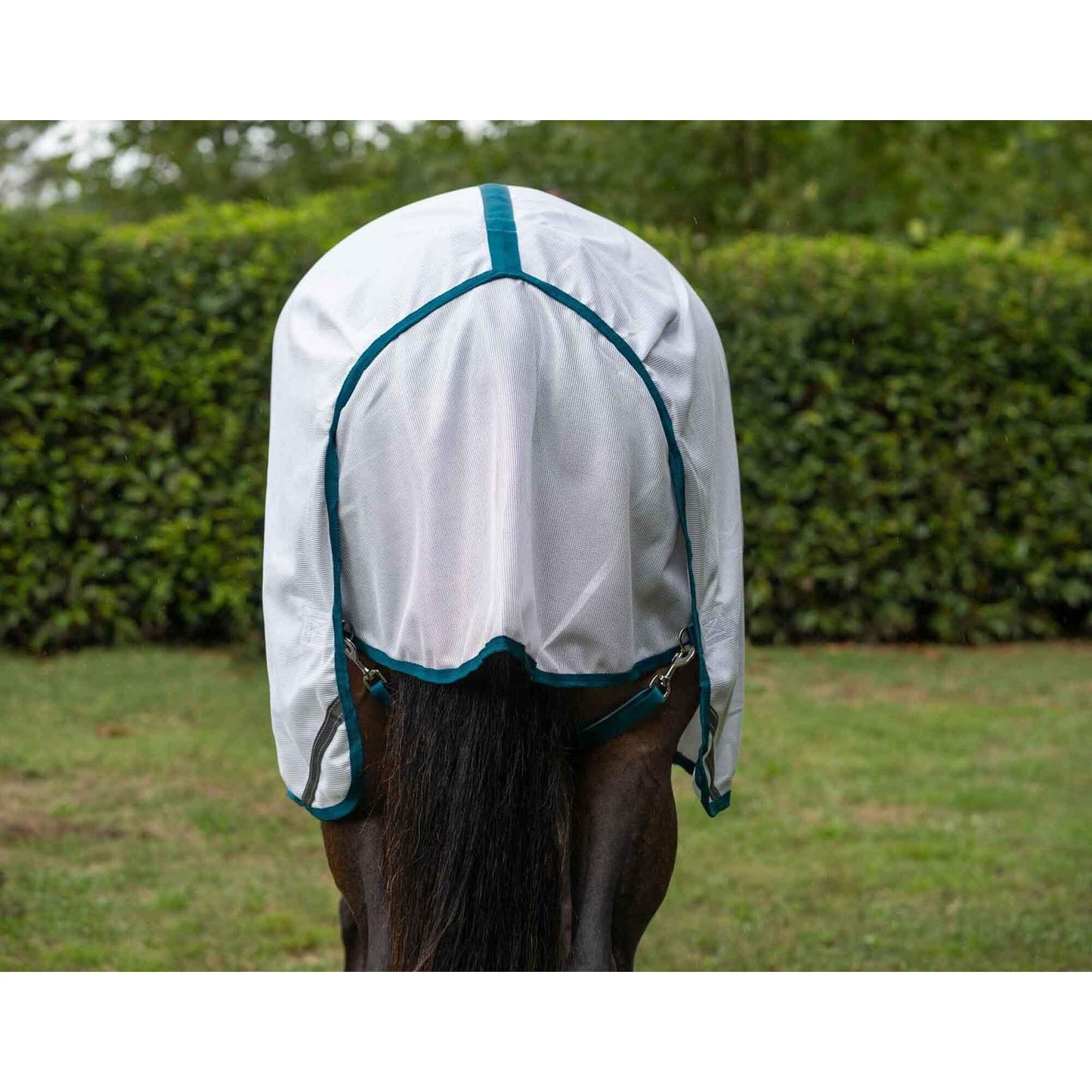 Caribu 410 Mesh Horse Rug Combo