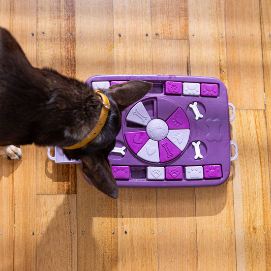 Puzzles for Pets: Tips to Keep Your Dog and Cats Mind Active