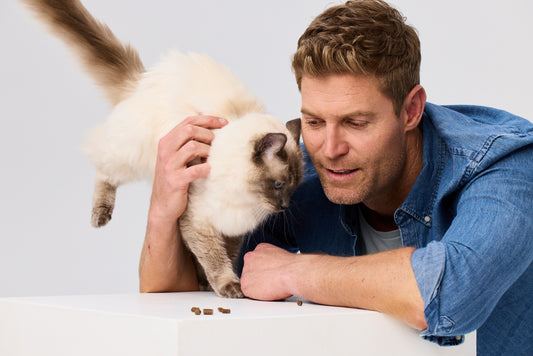 Why That Litter Tray Tells You EVERYTHING