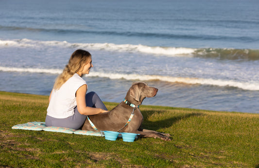 Summer Travel: Our Dog-Friendly Guide to the Mornington Peninsula