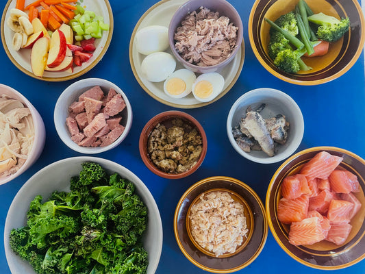 Build your Bowl: How to Feed Your Dog a Balanced Meal