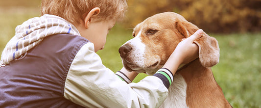 Benefits of Adopting an Older Pet
