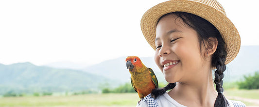 Bird Care Guide