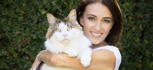 Top Tips for Keeping Cats Happy and Safe