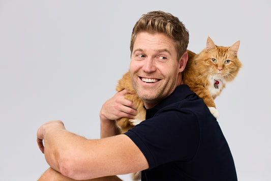 Your Cats Love Languages Explained