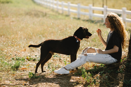 Understanding Dog Behaviours