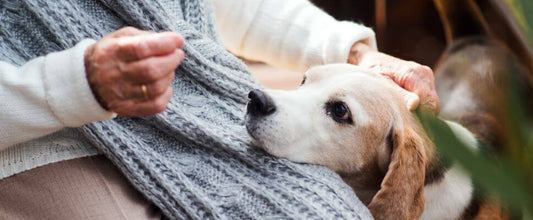 First Dog Checklist