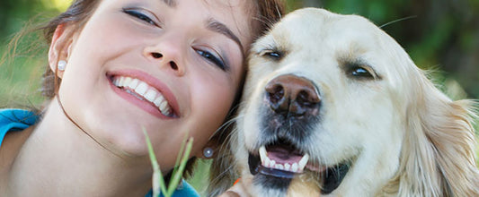 Heartworm: Symptoms, Treatment & Prevention