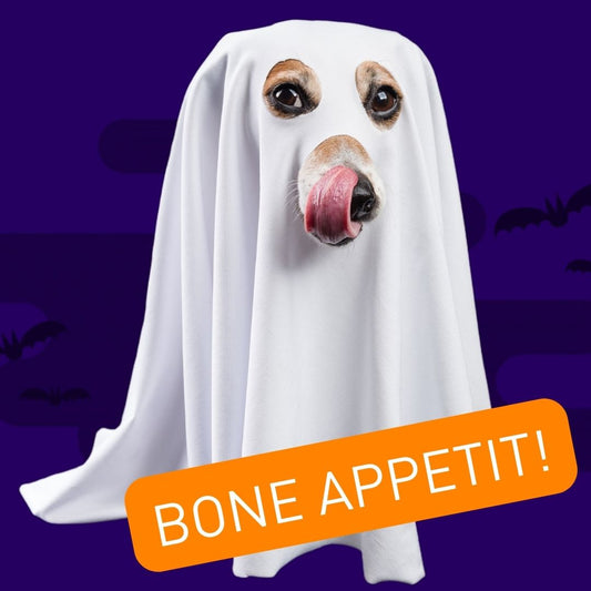 Throw an Epic Halloween Dog Party in 5 Simple Steps