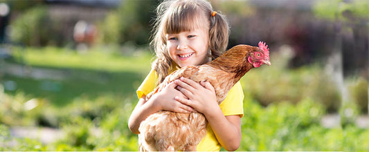 First Pet Chicken Guide: Everything You Need to Know about Pet Chickens
