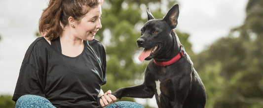 The Benefits of Adopting a Rescue Pet