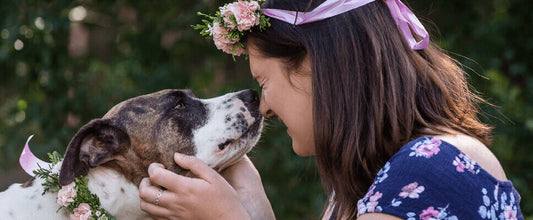 Bringing Home Your Rescue Pet: Tips & Preparation
