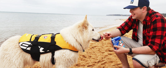 Top 5 Dog Travel Products: Mark & Mya’s Picks