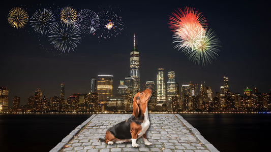 Dogs and Fireworks: Tips to Keep Your Dog Safe