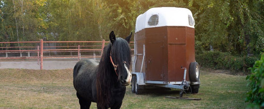 How to Travel with a Horse: 9 Tips for a Stress-Free Journey